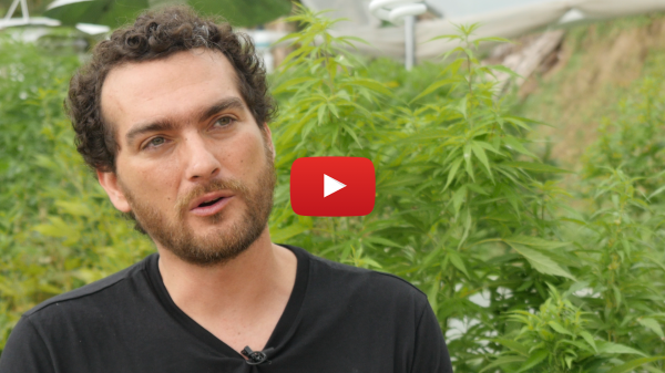 Cannabis Business: an Interview with Mauricio Garcia