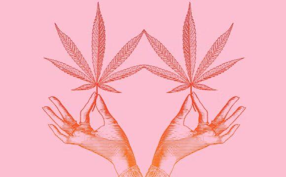 Revista Glamour: “10 anos de Cannabis medicinal no Brasil”