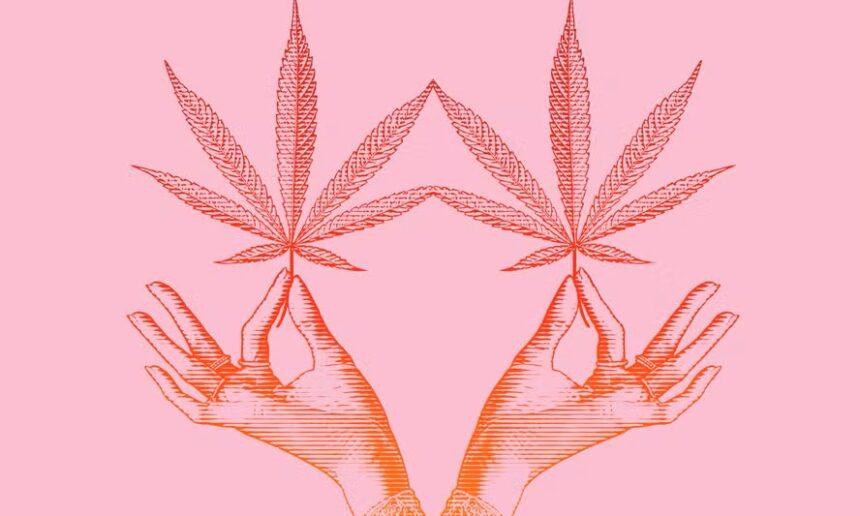 Revista Glamour: “10 anos de Cannabis medicinal no Brasil”