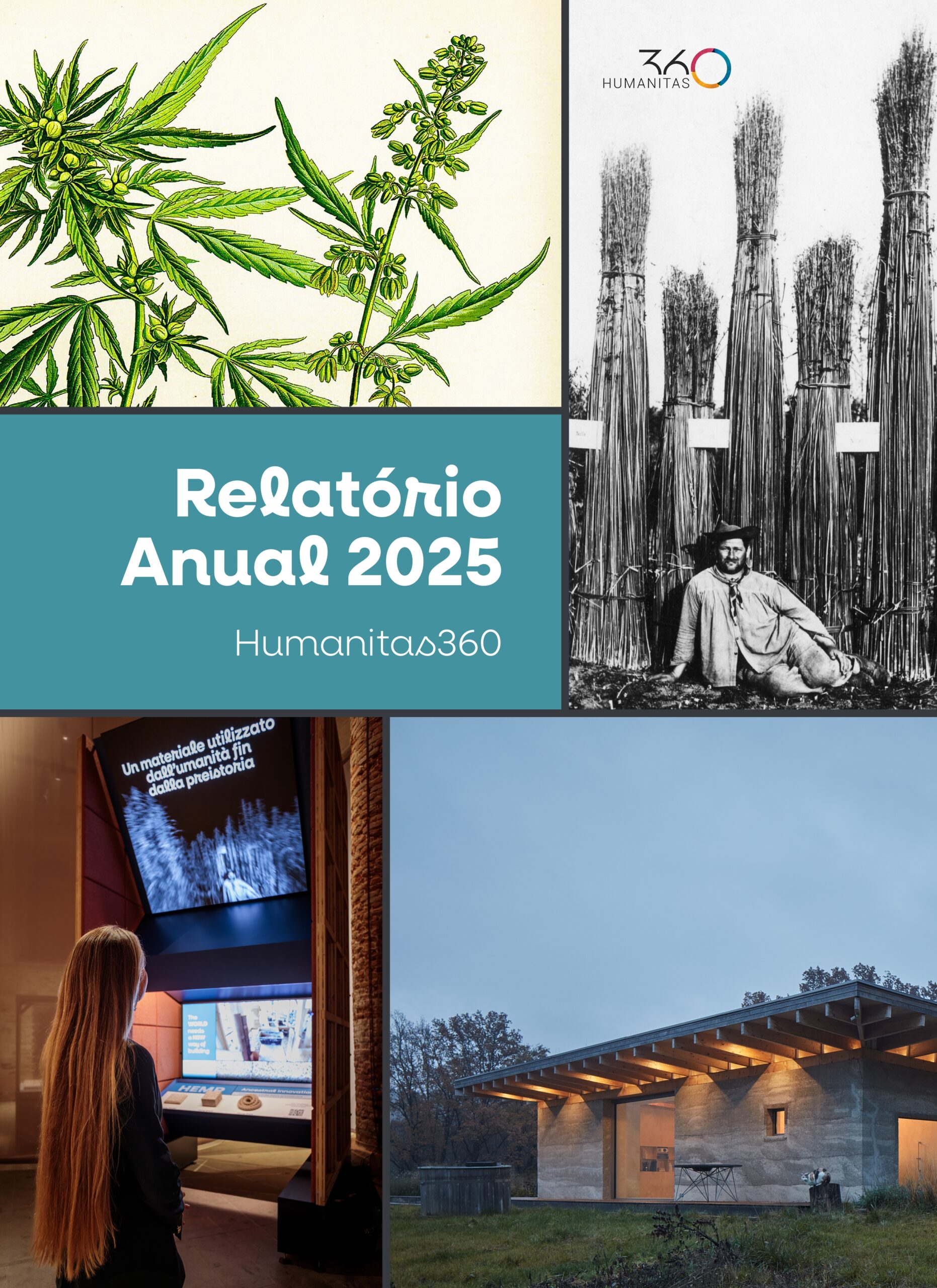 Leia o Relatório Anual 2025 do Instituto Humanitas360
