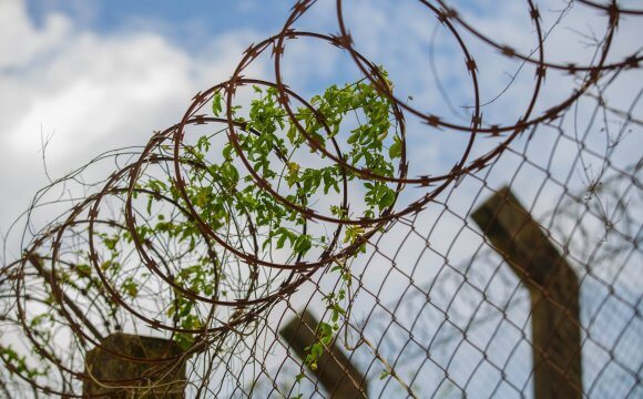 Mulheres estão mais vulneráveis a condenações por tráfico de drogas porque Justiça incrimina mais os pequenos delitos, diz pesquisadora da USP Mulheres estão mais vulneráveis a condenações por tráfico de drogas porque Justiça incrimina mais os pequenos delitos, diz pesquisadora da USP
