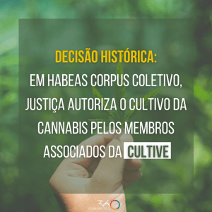 Cultive e Reforma conseguem o primeiro Habeas Corpus coletivo do país para cultivo de Cannabis para fins terapêuticos