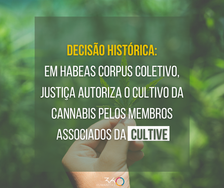 Cultive e Reforma conseguem o primeiro Habeas Corpus coletivo do país para cultivo de Cannabis para fins terapêuticos