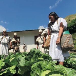 La primera mujer indígena es aceptada en un doctorado en Colombia gracias al apoyo de H360